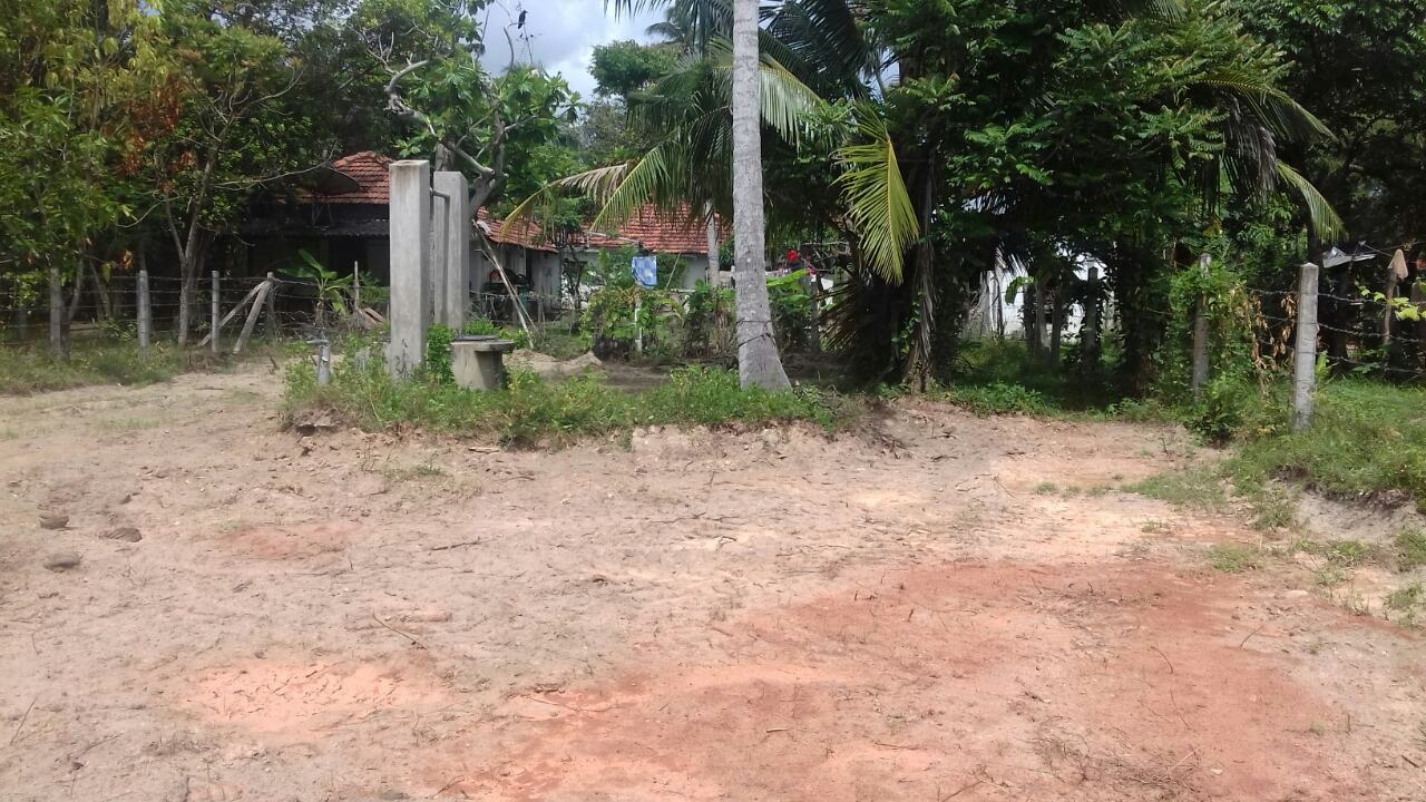 Land-For Sale-Wennappuwa-AA-AADK.php